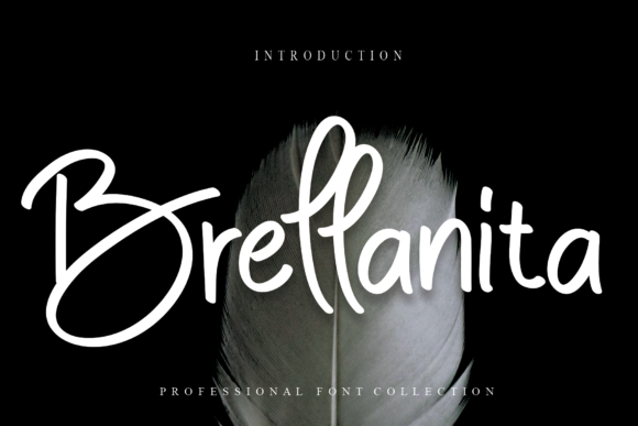 Brellanita: A Romantic Handwritten Font for Editorial Design