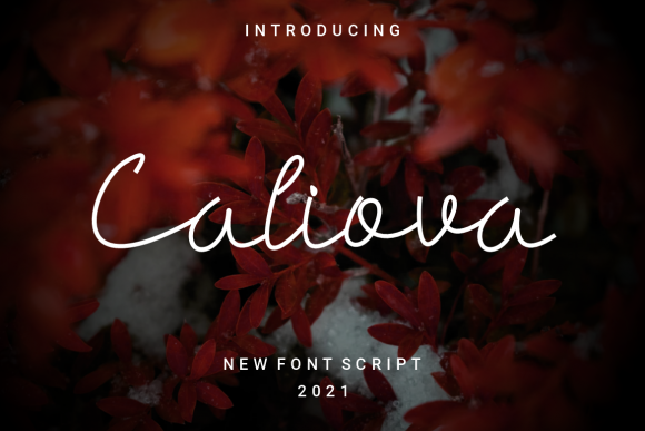 Caliova Font: Elevate Your Brand with Elegant Script Typography