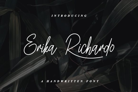 Erika Richardo: A Stylish Script Font for Business Branding