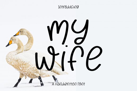 How the My Wife Font Helped Our Small Business Look More Polished
