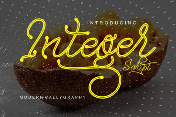 Integer: A Modern Script Font for Scroll-Stopping Digital Campaigns