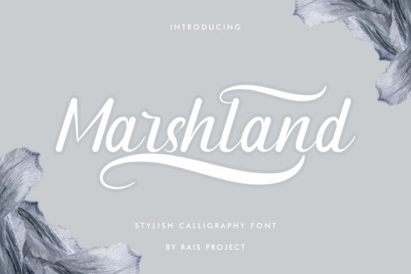 Marshland: A Handwritten Font That Elevates Campaign Typography