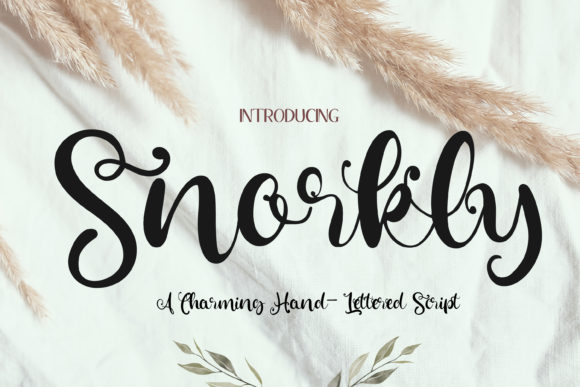 Snorkly: A Whimsical Script Font That Elevates Modern Web Design